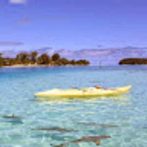 Meet your Posher, Maddie